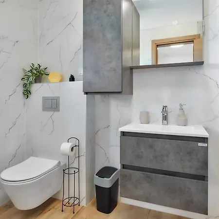 Brand New Borina With Pool Vila