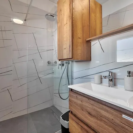 Brand New Borina With Pool Vila Loborika
