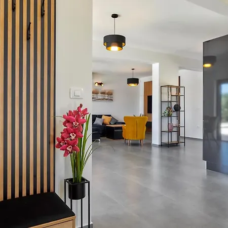 Villa Brand New Borina With Pool Loborika