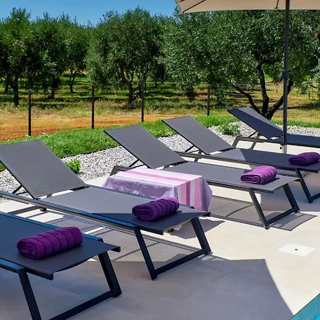 Brand New Borina With Pool Vila Loborika