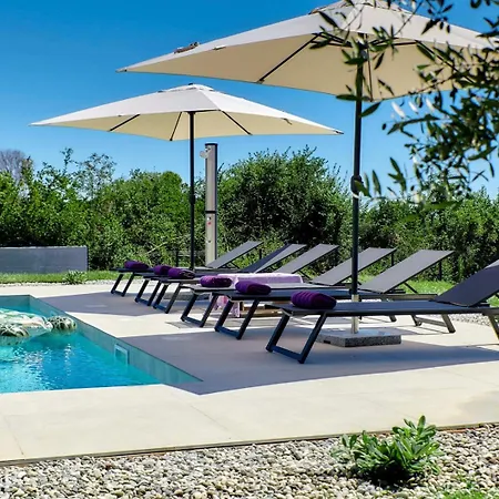 Brand New Borina With Pool Vila Loborika
